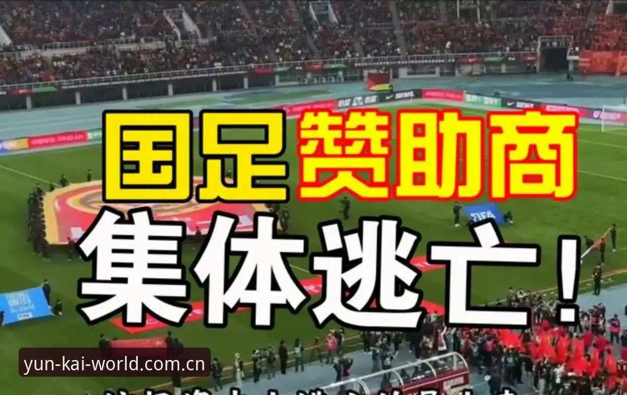 老球迷亲历世界杯签证困局，在云开全站平台看冷场赛事的心得体会